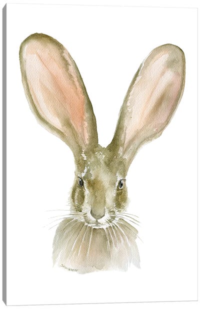 Jack Rabbit Ears Canvas Art Print - Susan Windsor