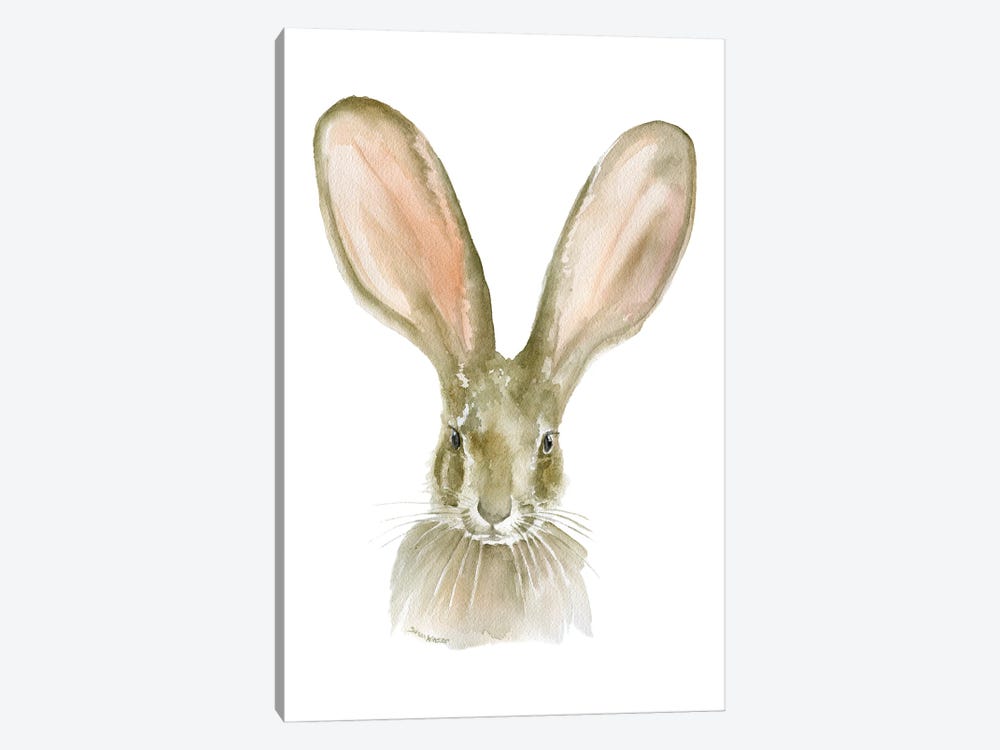 Jack Rabbit Ears by Susan Windsor 1-piece Canvas Artwork