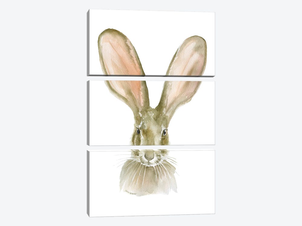 Jack Rabbit Ears by Susan Windsor 3-piece Canvas Artwork