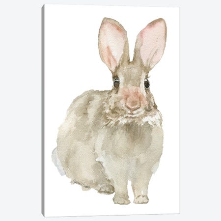 Jack Rabbit Canvas Print #SWO135} by Susan Windsor Art Print