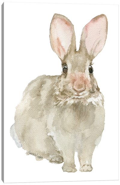Jack Rabbit Canvas Art Print - Susan Windsor