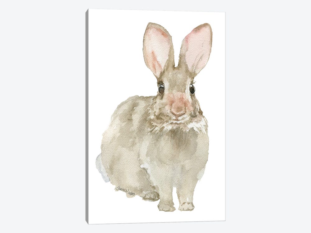 Jack Rabbit by Susan Windsor 1-piece Art Print