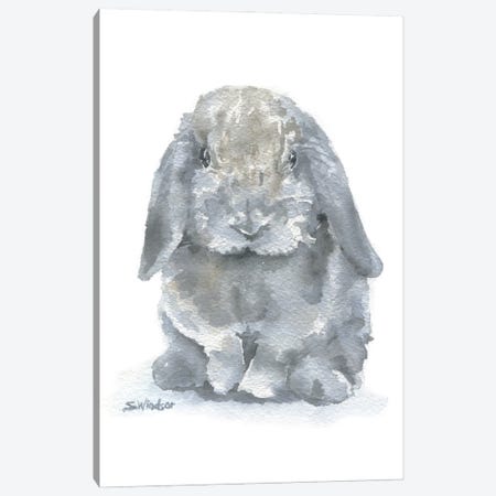 Gray Mini Lop Rabbit Canvas Print #SWO138} by Susan Windsor Canvas Artwork
