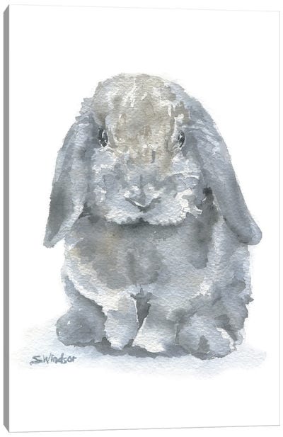 Gray Mini Lop Rabbit Canvas Art Print - Susan Windsor