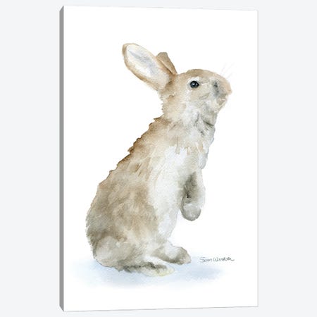 Tan Bunny Rabbit Canvas Print #SWO139} by Susan Windsor Canvas Art