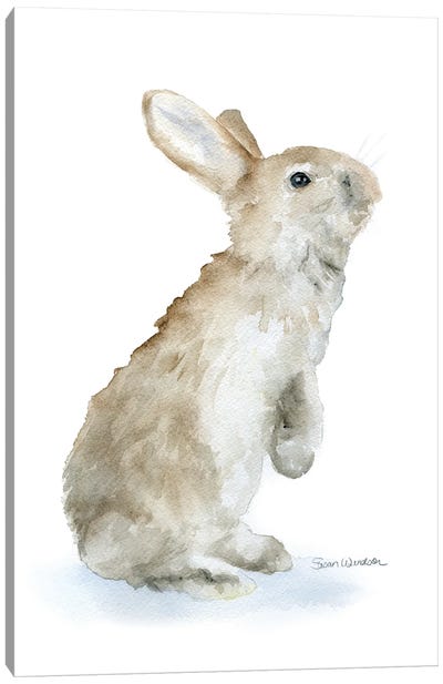 Tan Bunny Rabbit Canvas Art Print - Susan Windsor