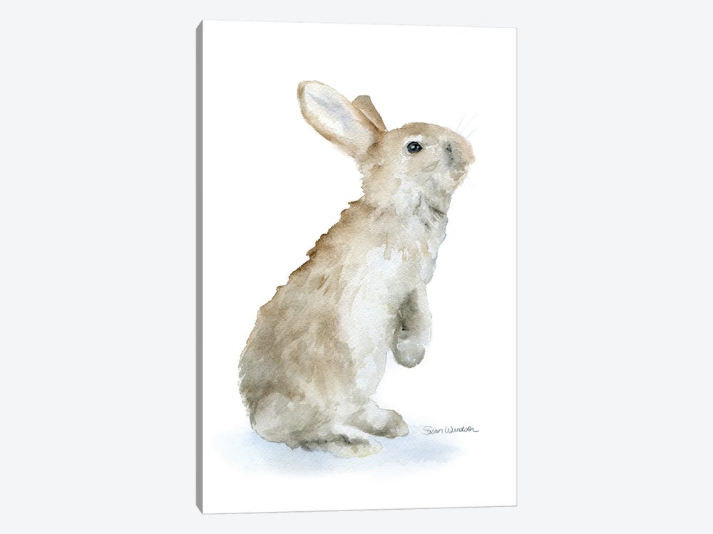 Tan Bunny Rabbit by Susan Windsor 1-piece Art Print