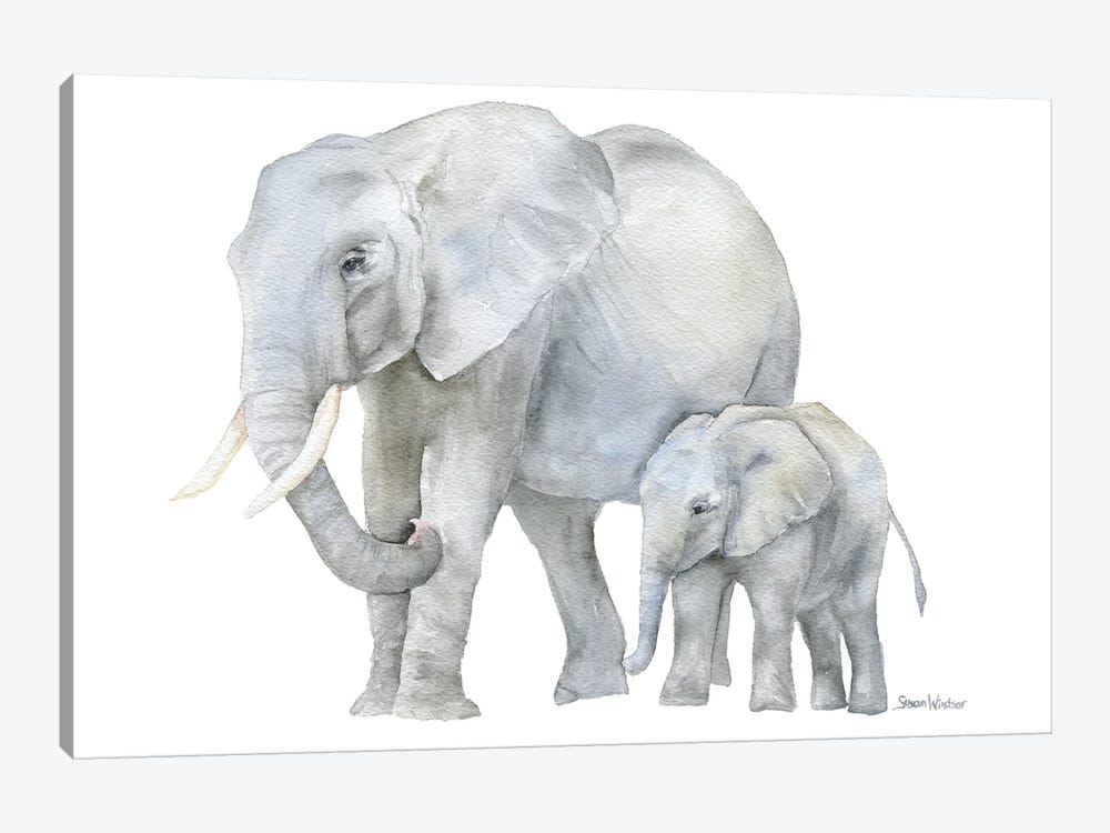 Mother And Baby Elephants by Susan Windsor 1-piece Canvas Art