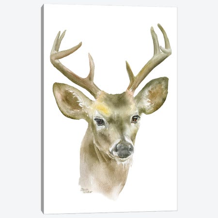 Deer Buck Canvas Print #SWO140} by Susan Windsor Canvas Print