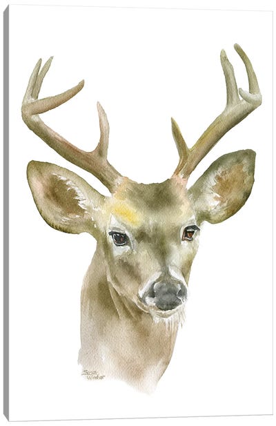 Deer Buck Canvas Art Print - Susan Windsor