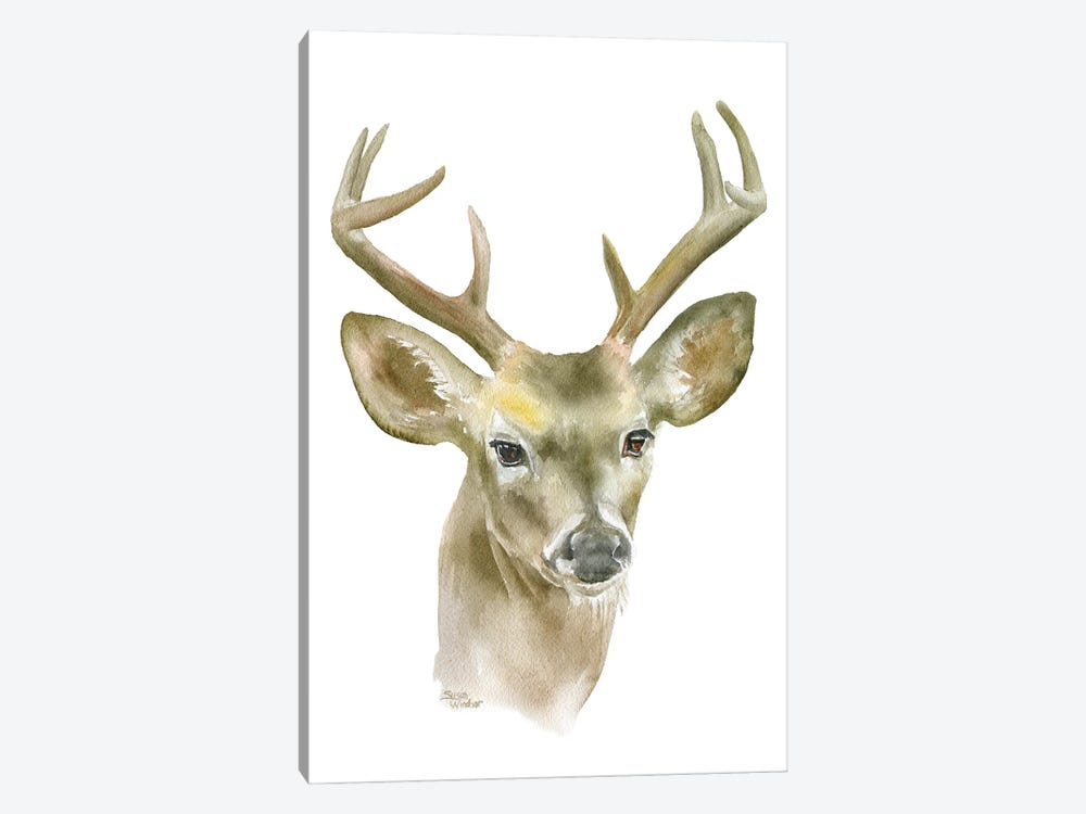 Deer Buck by Susan Windsor 1-piece Canvas Print