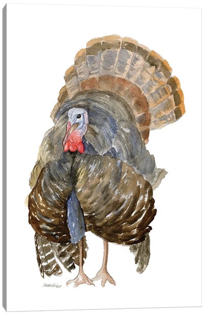 Turkey Canvas Art Print - Thanksgiving Art