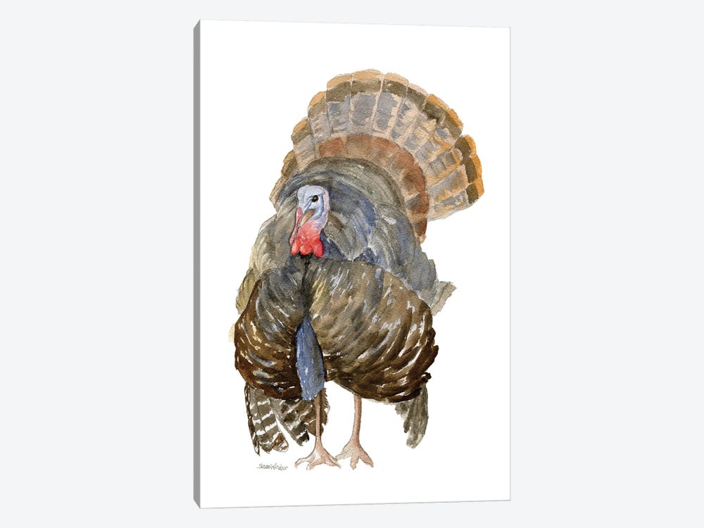 Turkey by Susan Windsor 1-piece Canvas Art Print