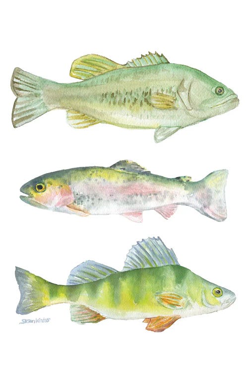 Three Fish