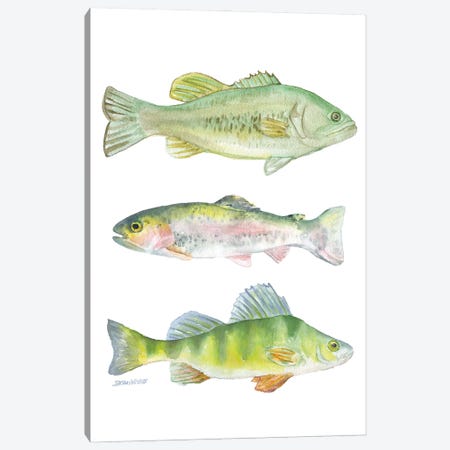 Three Fish Canvas Print #SWO143} by Susan Windsor Canvas Print