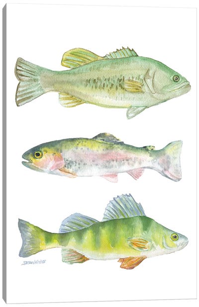 Three Fish Canvas Art Print - Susan Windsor