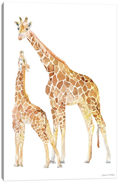 Mother And Baby Giraffes Canvas Art Print - Susan Windsor