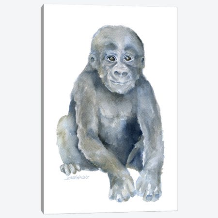 Little Gorilla Canvas Print #SWO18} by Susan Windsor Canvas Art Print