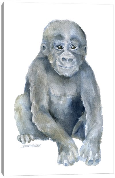 Little Gorilla Canvas Art Print - Monkey Art