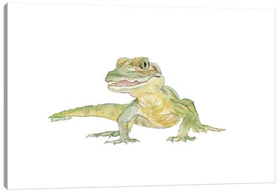 Baby Alligator Canvas Art Print - Susan Windsor