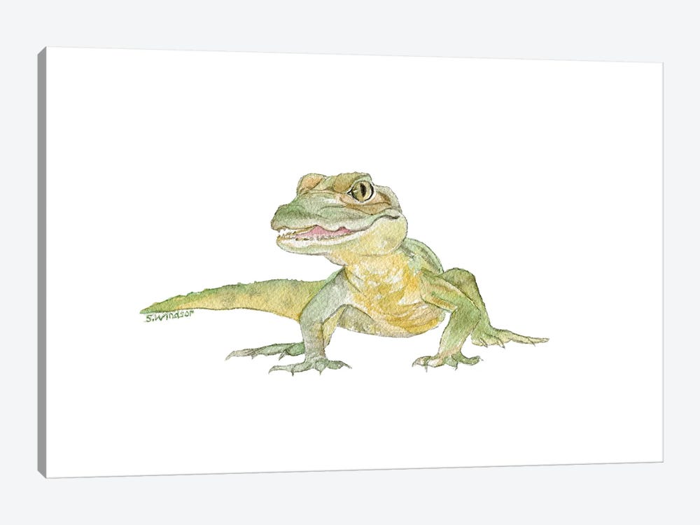 Baby Alligator by Susan Windsor 1-piece Canvas Art Print