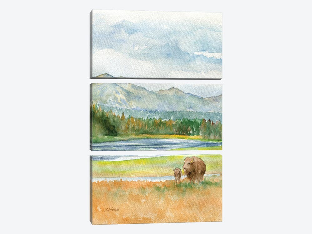 Yellowstone National Park by Susan Windsor 3-piece Canvas Wall Art