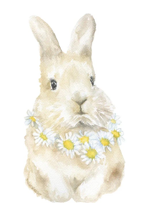 Bunny With Daisies