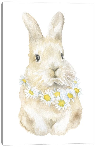 Bunny With Daisies Canvas Art Print - Susan Windsor