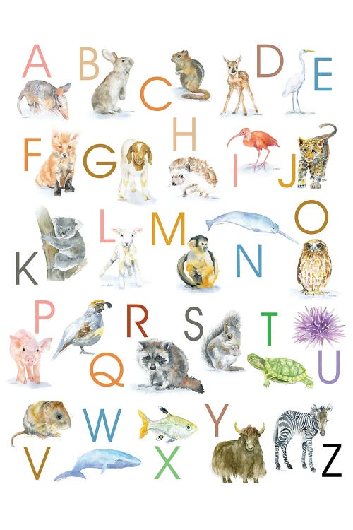 Animal Alphabet