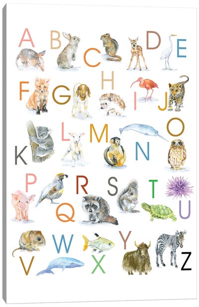 Animal Alphabet Canvas Art Print - Susan Windsor