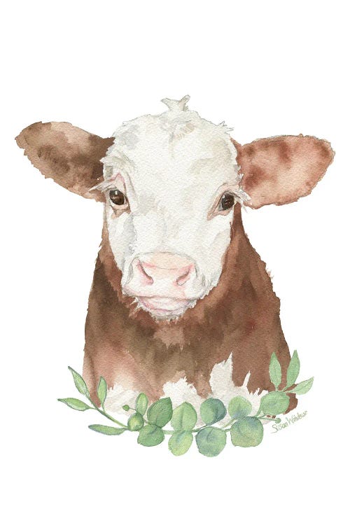 Hereford Calf With Greenery