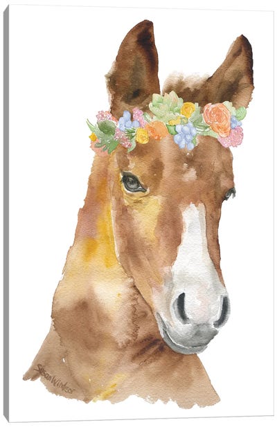 Horse With Flowers Canvas Art Print - Susan Windsor