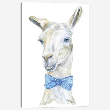 Llama With A Bowtie Canvas Print #SWO39} by Susan Windsor Canvas Print