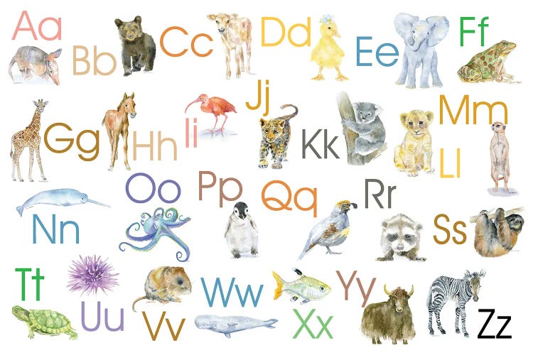 Animal Alphabet II