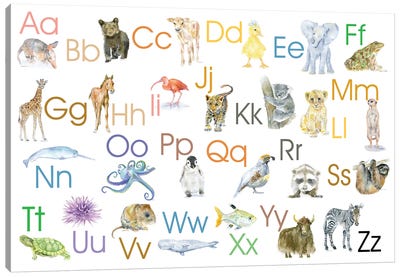 Animal Alphabet II Canvas Art Print - Full Alphabet Art