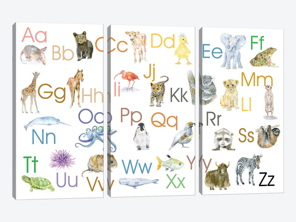 Animal Alphabet II by Susan Windsor 3-piece Canvas Art Print