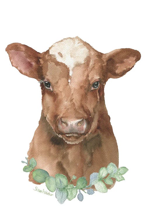 Shorthorn Calf With Greenery