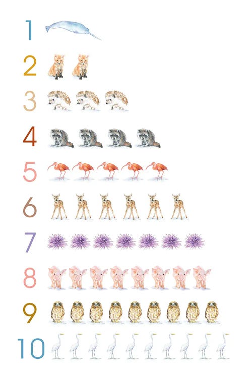 Animal Numbers