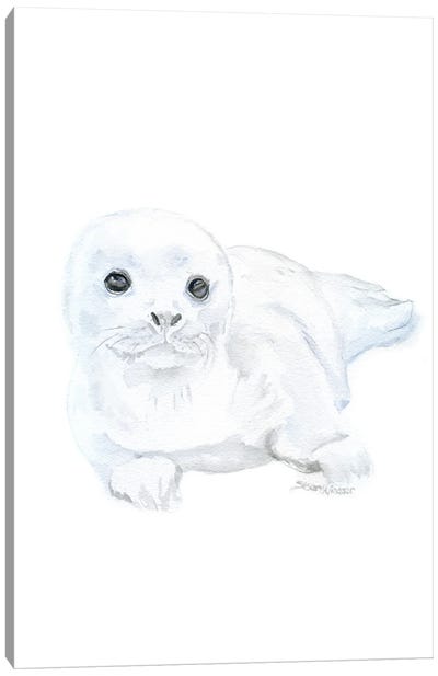 Baby Harp Seal Canvas Art Print - Seal Art