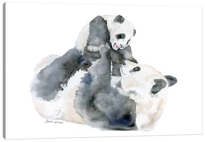 Panda Mother And Baby Canvas Art Print - Susan Windsor