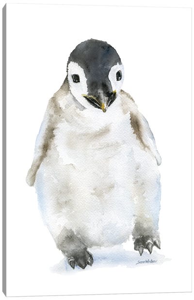 Penguin Chick Canvas Art Print - Penguin Art