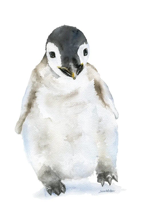 Penguin Chick