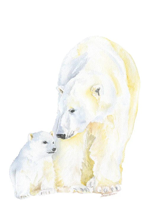 Polar Bear Mother And Cub