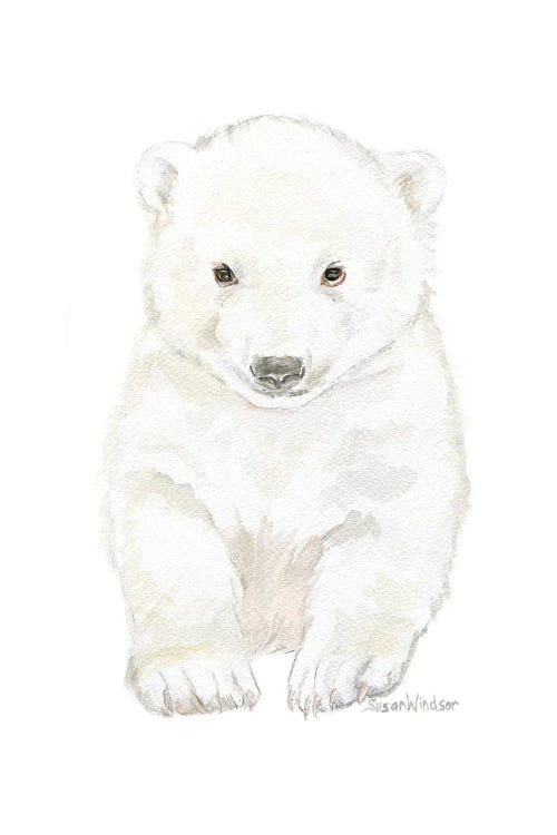 Polar Bear Cub