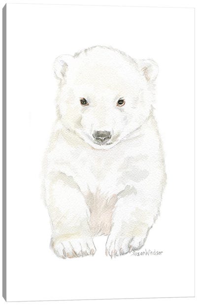 Polar Bear Cub Canvas Art Print - Polar Bear Art