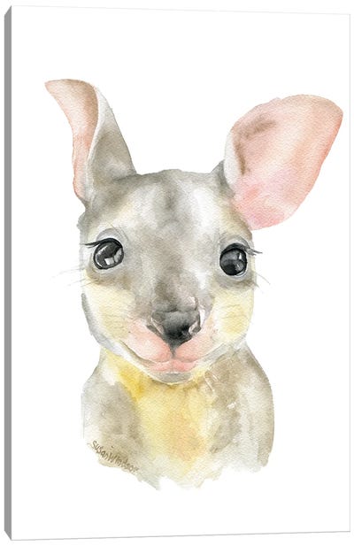 Kangaroo Joey Canvas Art Print - Kangaroo Art