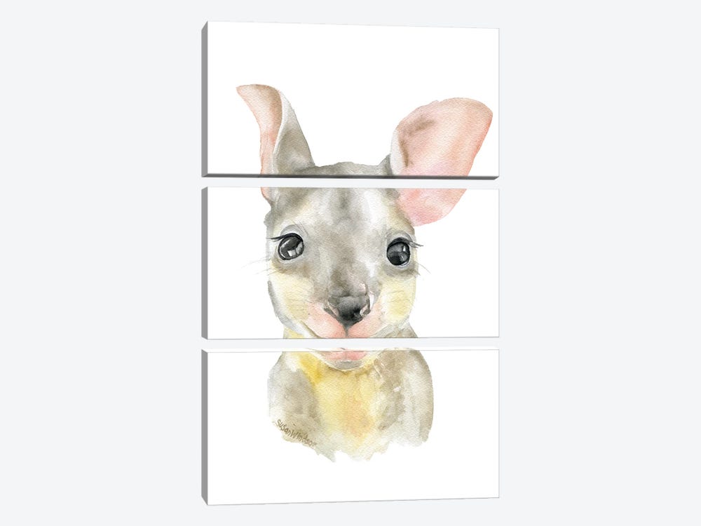 Kangaroo Joey by Susan Windsor 3-piece Canvas Print