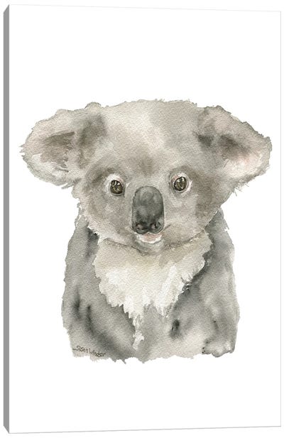Baby Koala Canvas Art Print - Susan Windsor