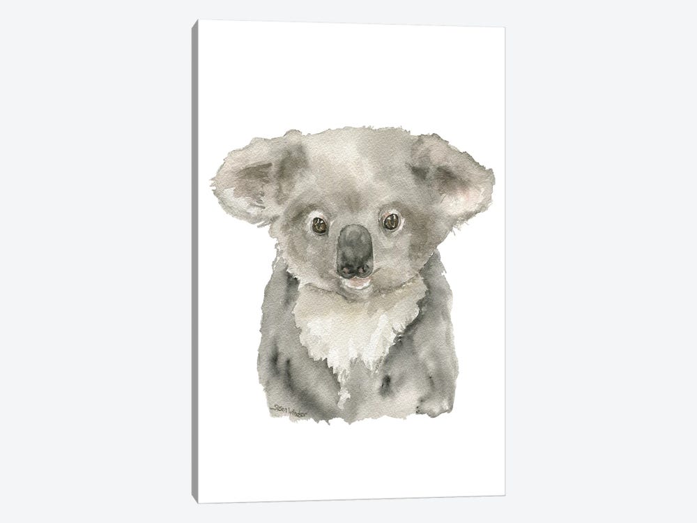 Baby Koala by Susan Windsor 1-piece Canvas Artwork