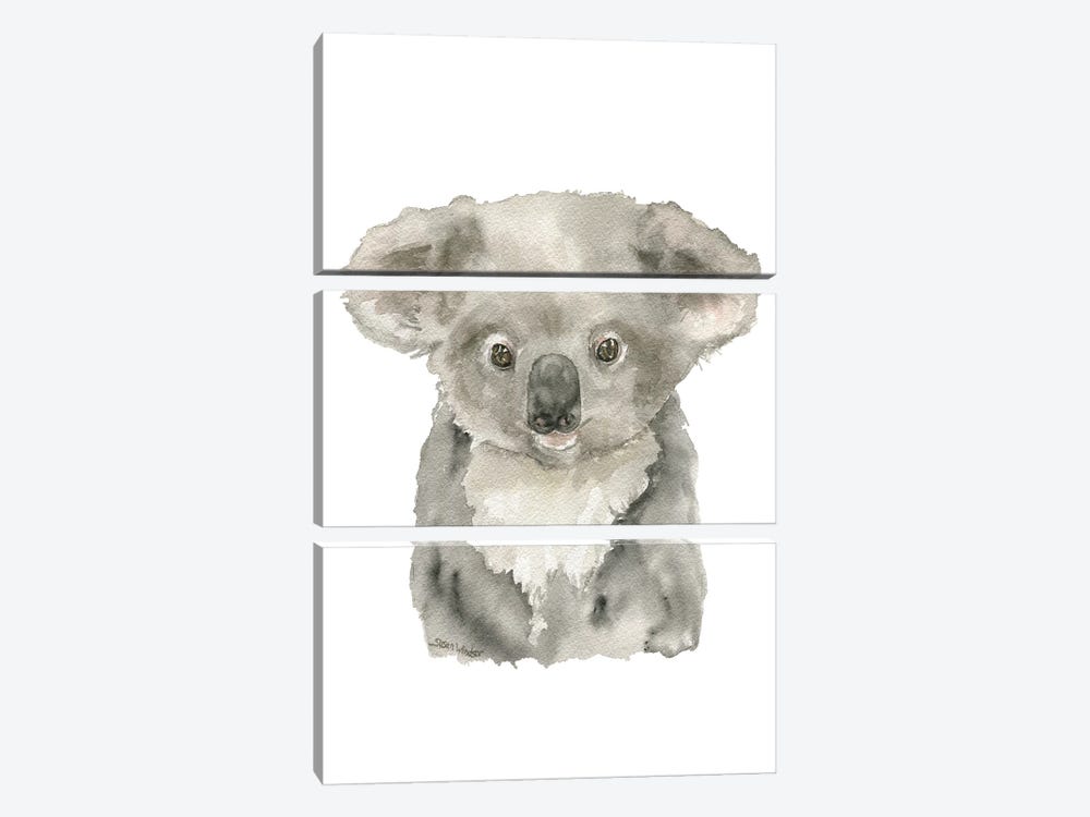 Baby Koala by Susan Windsor 3-piece Canvas Artwork